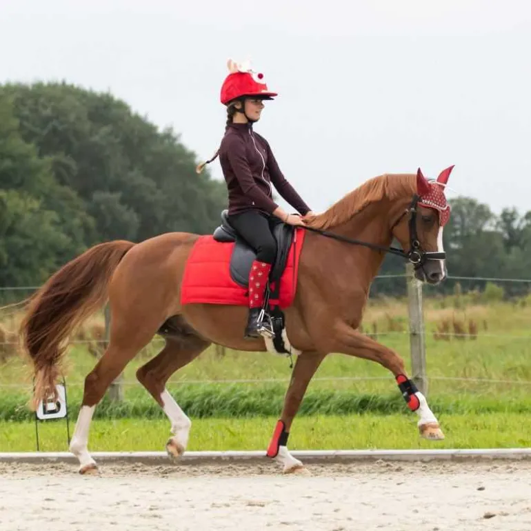 Chaussettes Noël QHP
