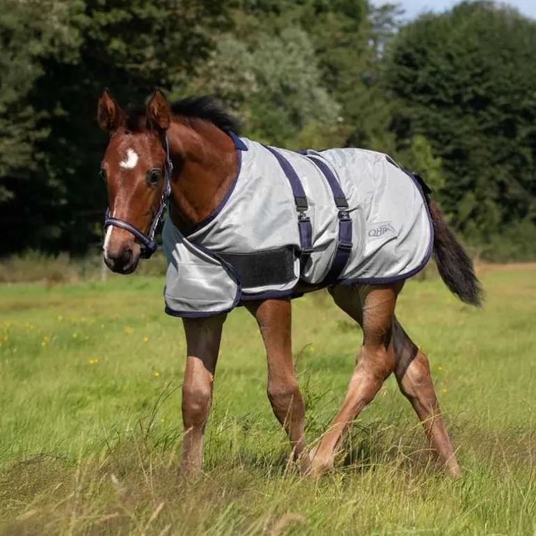 Chemise anti-mouches poulain QHP
