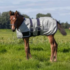 Chemise anti-mouches poulain QHP