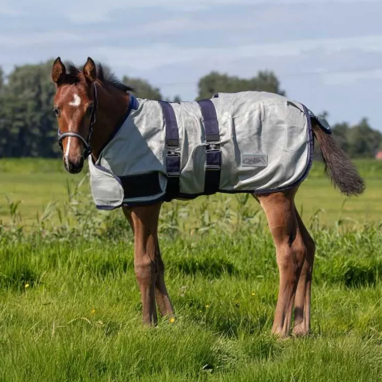 Chemise anti-mouches poulain QHP