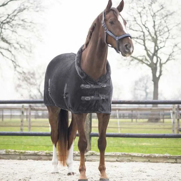 Chemise de présentation Sensisoft QHP