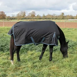 Chemise imperméable doublée Coton Horse & Go Noir