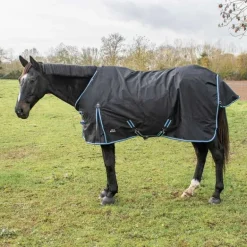 Chemise imperméable doublée Coton Horse & Go Noir