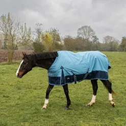 Chemise imperméable doublée Coton Horse & Go Bleu Gris