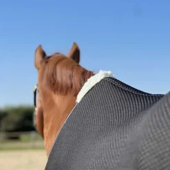 Chemise micro jersey T de T