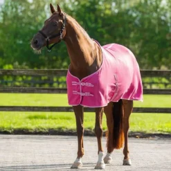 Chemise Polaire Color Q-essentials