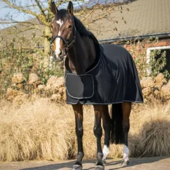 Chemise polaire Salerno QHP