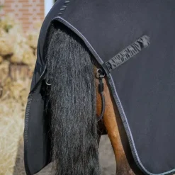 Chemise polaire Salerno QHP