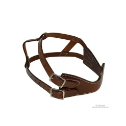 Collier anti tic Américain