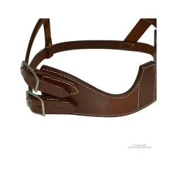 Collier anti tic Américain