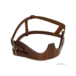 Collier anti tic Américain