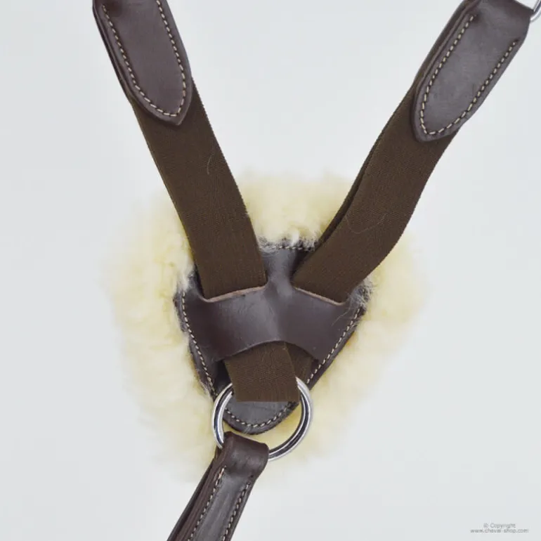 Collier de chasse 5 points mouton Stationata