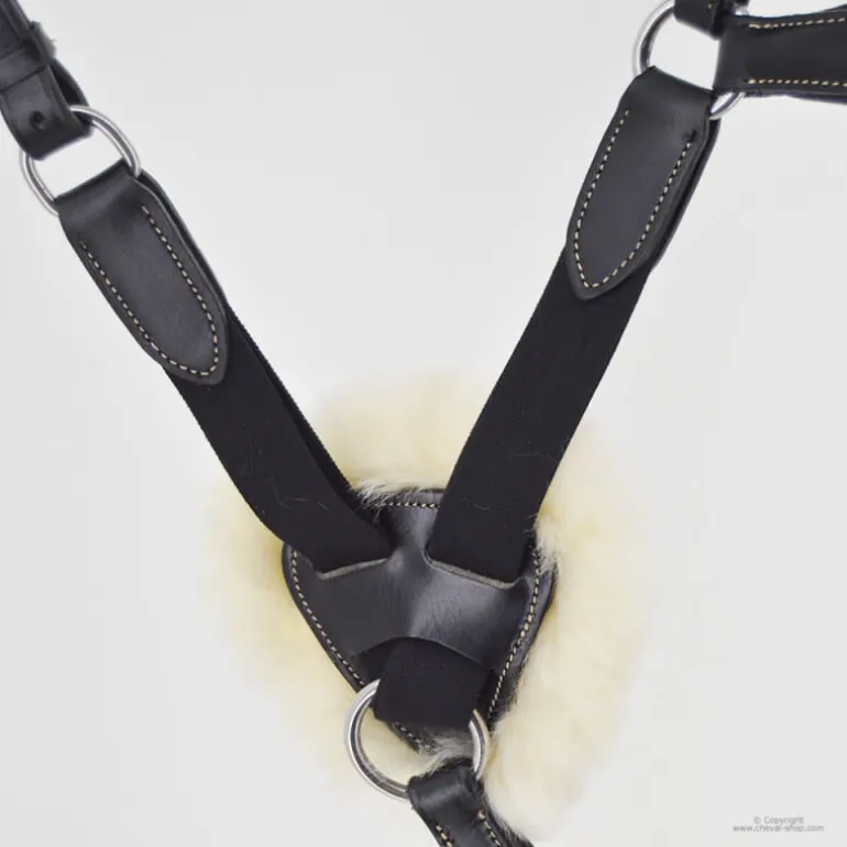 Collier de chasse 5 points mouton Stationata