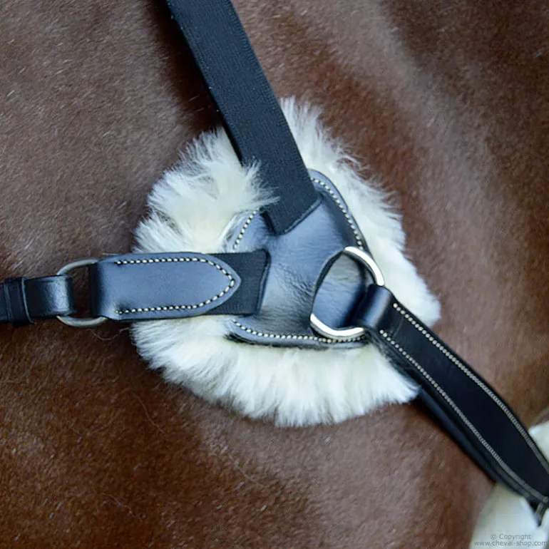 Collier de chasse 5 points mouton Stationata