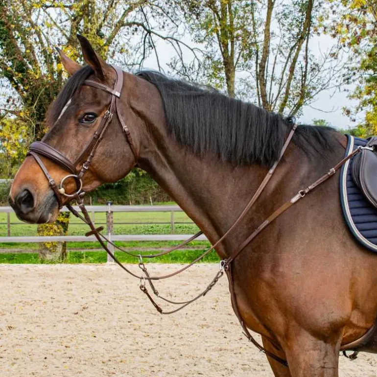 Collier de chasse 3 points Stationata