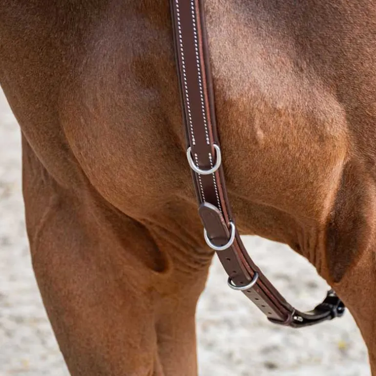 Collier de chasse 3 points Stationata