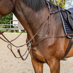 Collier de chasse 5 points Stationata