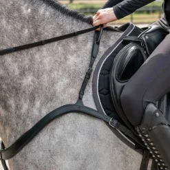 Collier de chasse avec poignée QHP