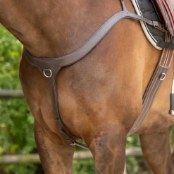 Collier de chasse avec poignée QHP