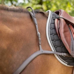 Collier de chasse avec poignée QHP