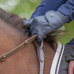 Collier de chasse avec poignée QHP