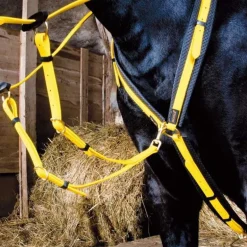 Collier de chasse Biotack T de T