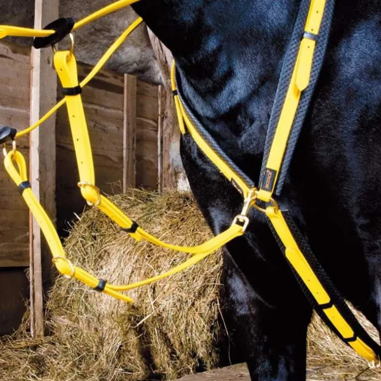 Collier de chasse Biotack T de T