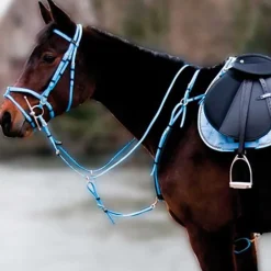 Collier de chasse Biotack T de T