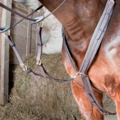 Collier de chasse Biotack T de T