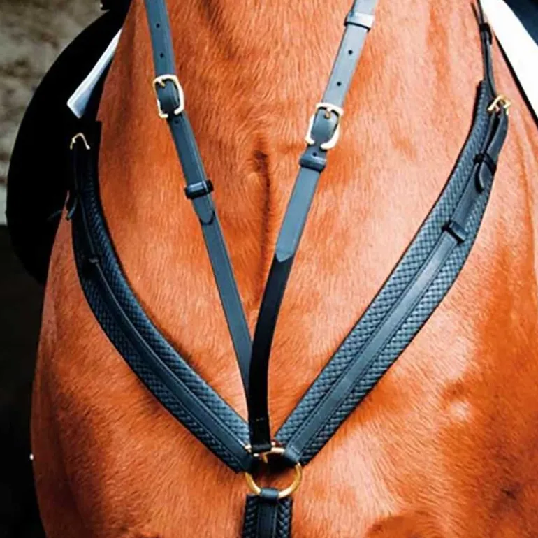 Collier de chasse Biotack T de T