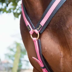 Collier de chasse Biotack T de T