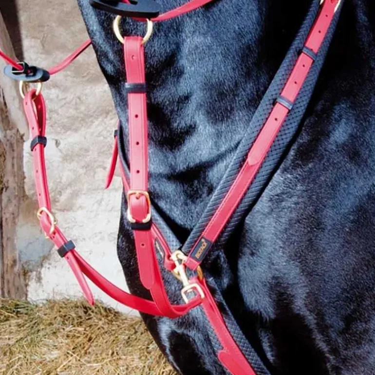 Collier de chasse Biotack T de T