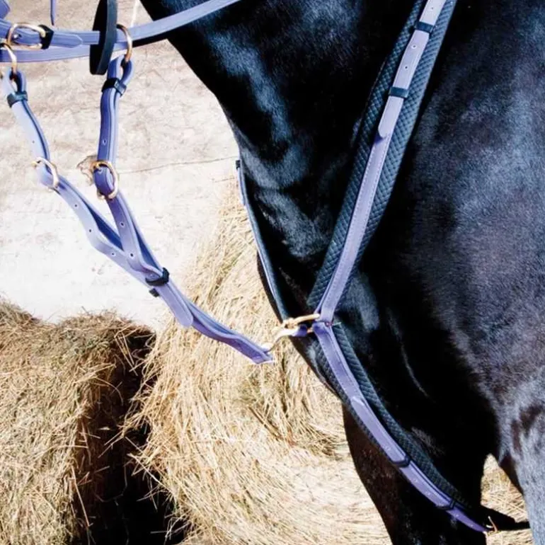 Collier de chasse Biotack T de T