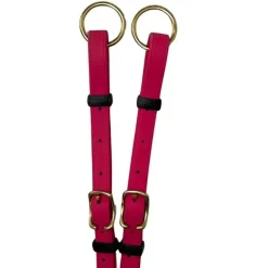 Collier de chasse Biotack T de T