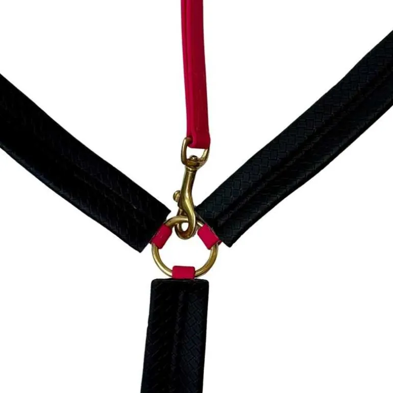 Collier de chasse Biotack T de T