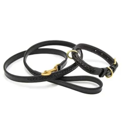 Collier tressé pour grand chien Chetak