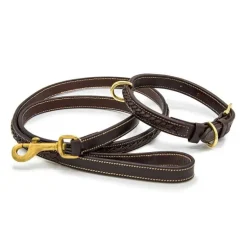Collier tressé pour grand chien Chetak