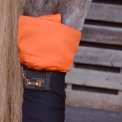 Cotons américains T de T