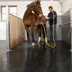 Couloir d'écurie et douche Belmondo Walkpro