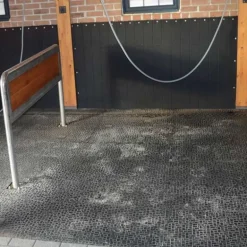 Couloir d'écurie et douche Belmondo Walkpro