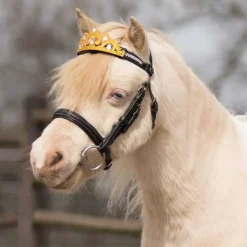 Couronne pour frontal QHP