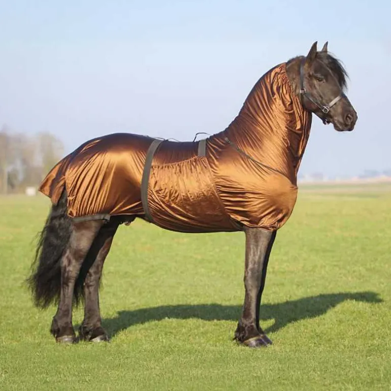 Couverture anti-démangeaisons Big Neck QHP