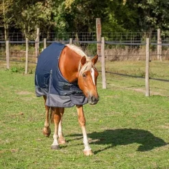 Couverture d'exterieur imperméable 150G Horse & Go Marine