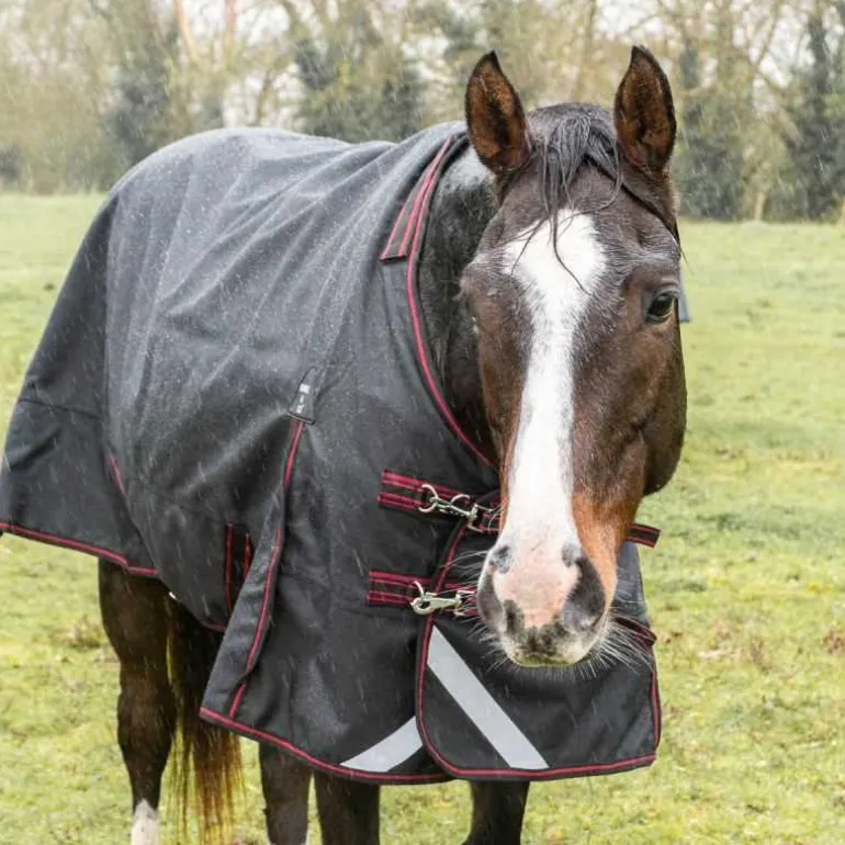 Couverture imperméable 100g 1200D HORSE&GO