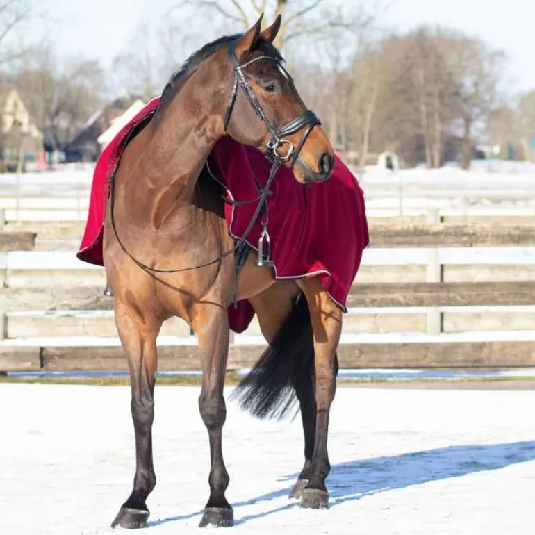 Couvre-reins polaire Ornament QHP