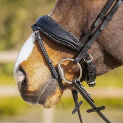 Doublure de muserolle Skye QHP