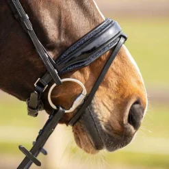 Doublure de muserolle Skye QHP