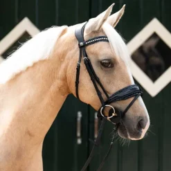 Doublure de muserolle Skye QHP