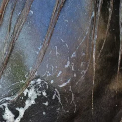 Easy Shine Grey Ravene - Shampoing chevaux gris