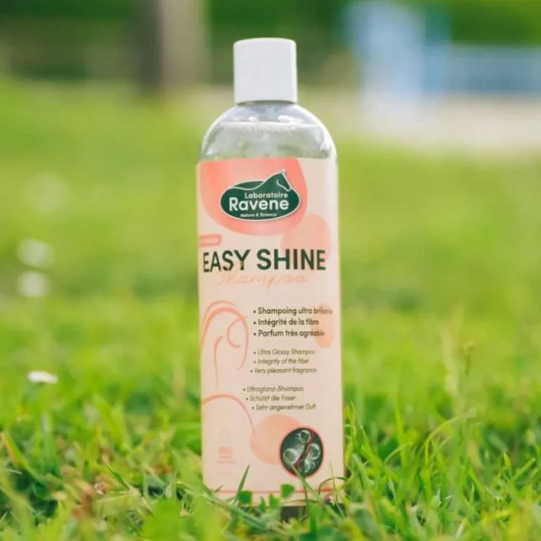 Easy Shine Shampoing Ravene
